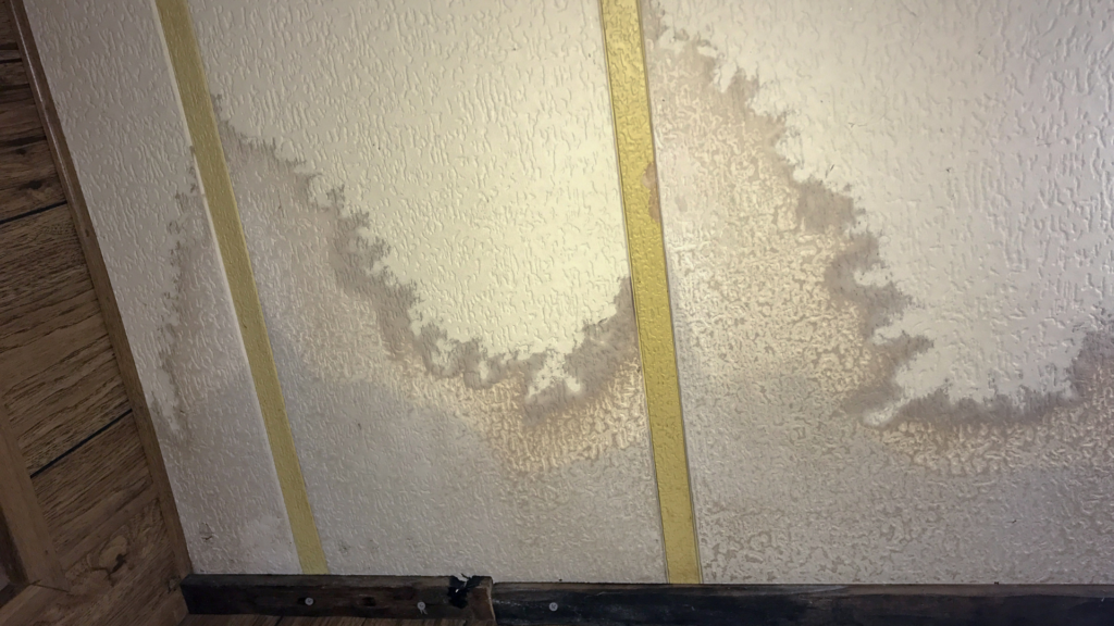 Mold Removal & Remediation New York - Social