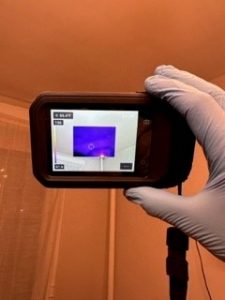 mold assessment bronx ny