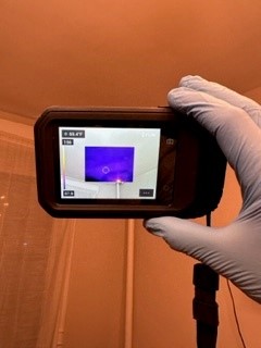 mold assessment bronx ny