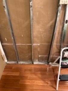 mold damage restoration bronx ny