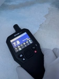 mold remediation bronx ny