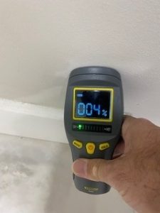 mold testing bronx ny